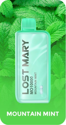 Lost Mary 10000 Puffs Disposable Vape Pod box of 10